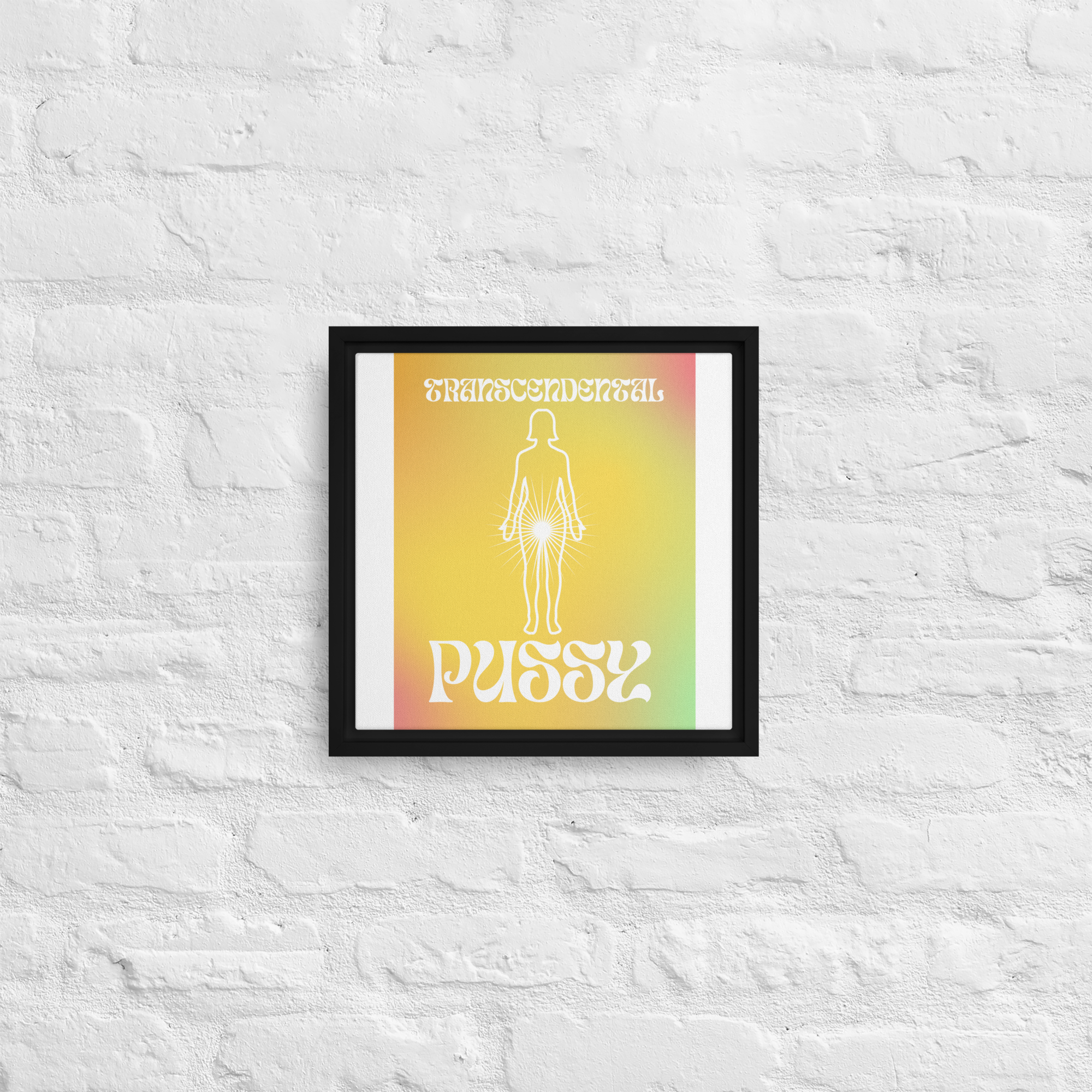 TRANSCENDANCE Framed canvas