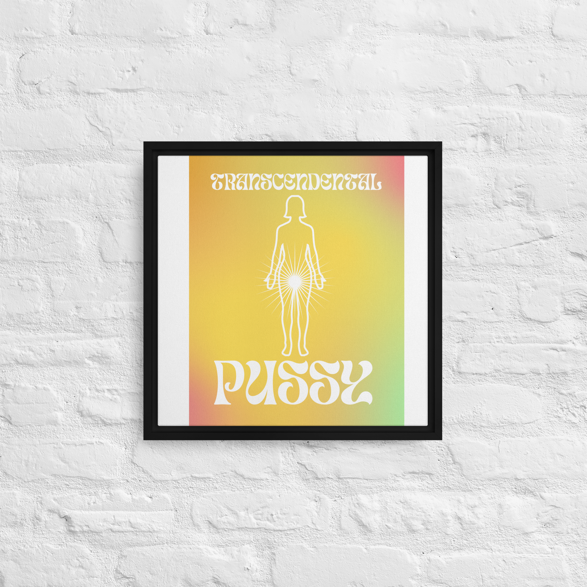 TRANSCENDANCE Framed canvas