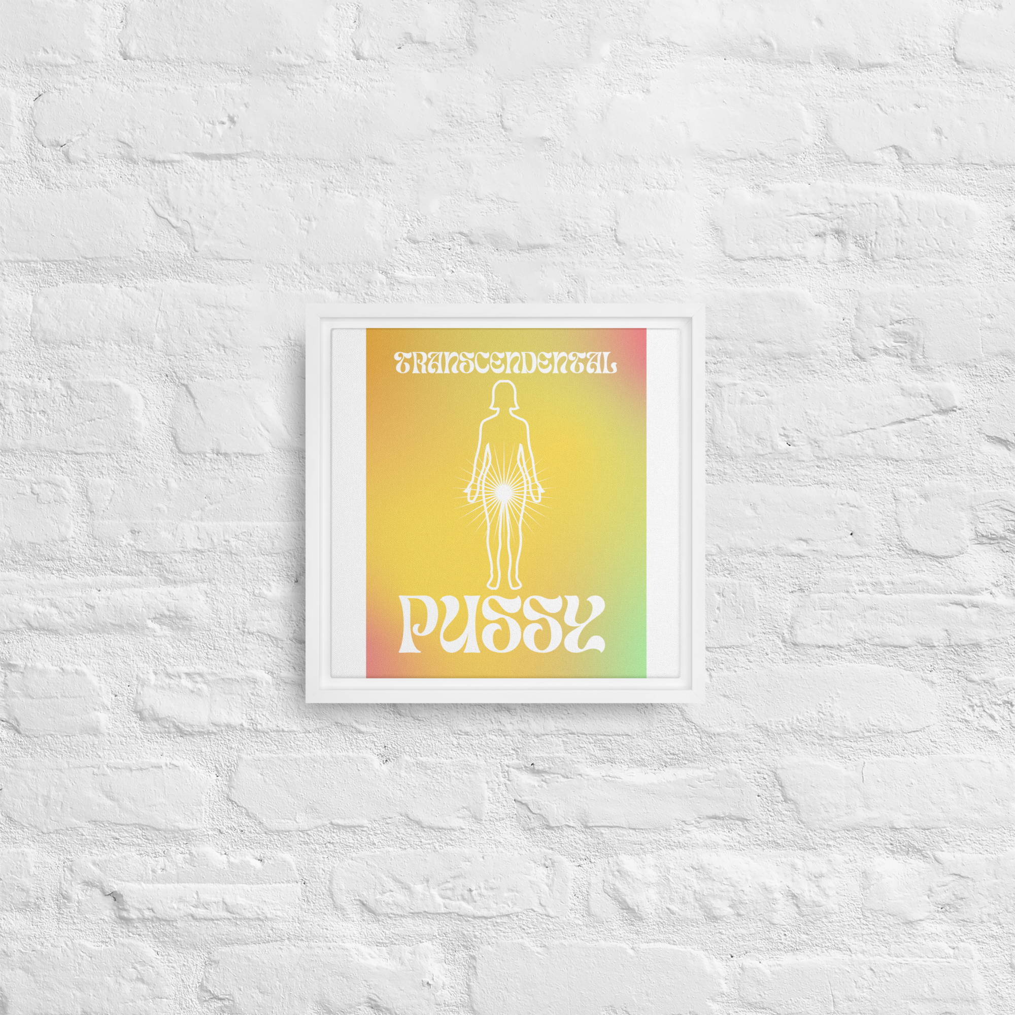 TRANSCENDANCE Framed canvas