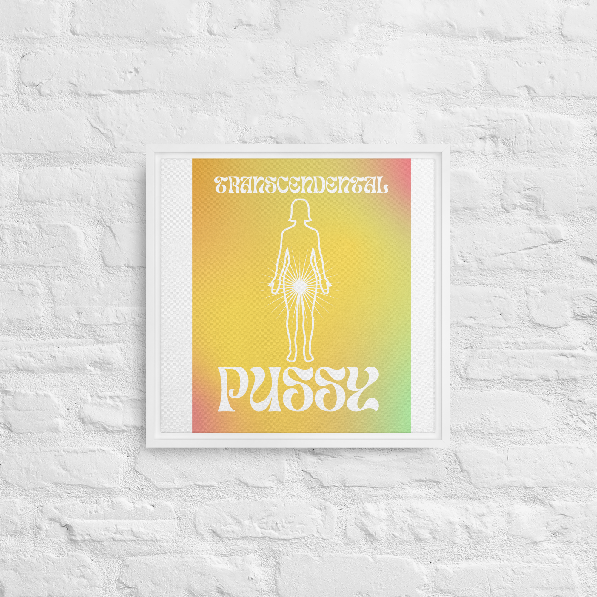 TRANSCENDANCE Framed canvas